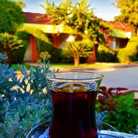 Hotel Cetinel Adana
