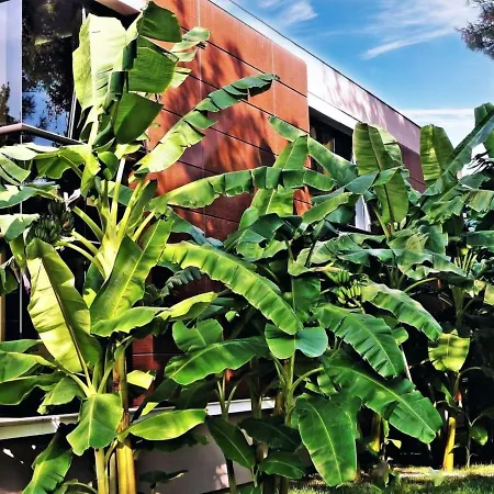 Otel çetinel Tesisleri 4*